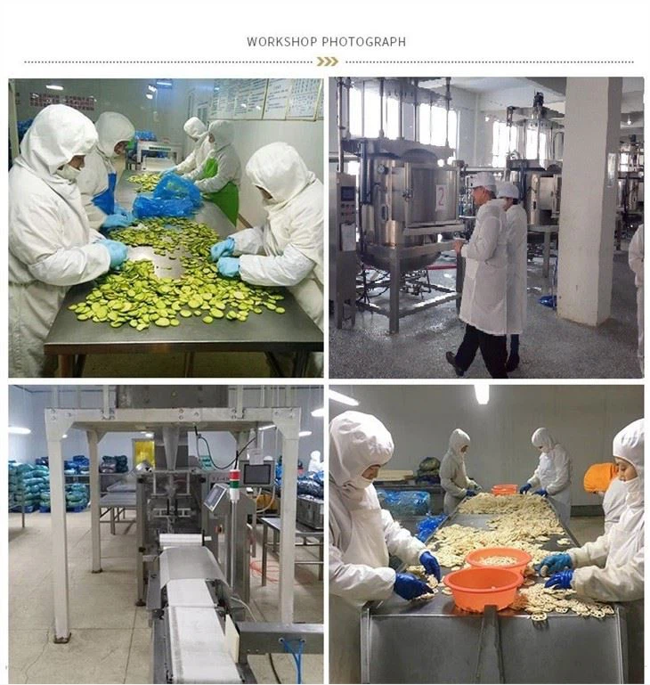 Banana Chips Vacuum Fryer